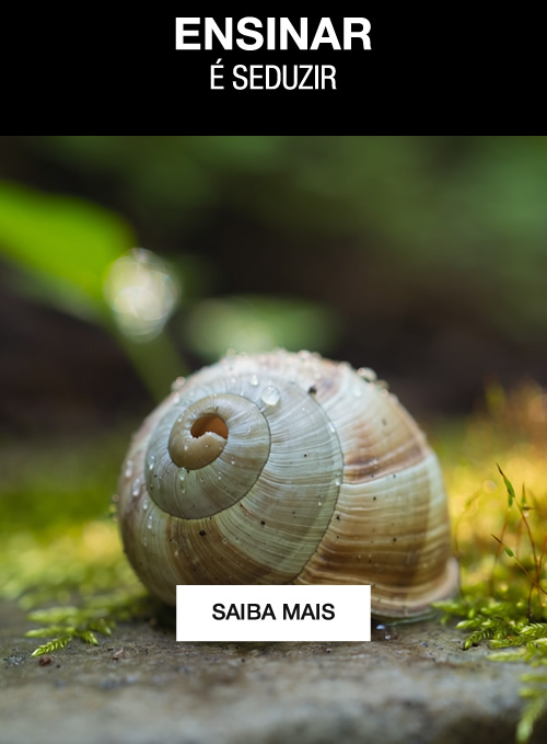 spot_img